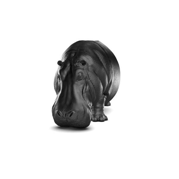 Maximo Riera Hippopotamus Modeling