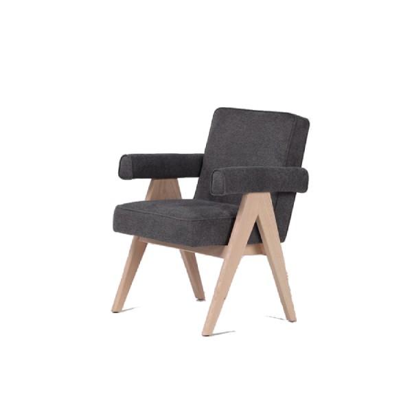 Pierre Jeanneret Committee Chair