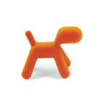 Puppy, 2005